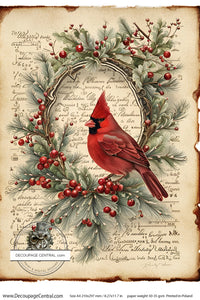 DC 117 - Cardinal in Wreath