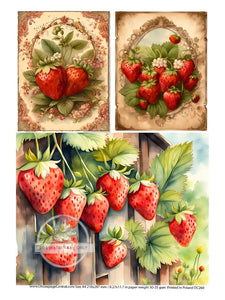 DC260 Strawberry Trio Rice Paper