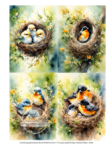 DC364 - Nest Birds Multi Rice Paper