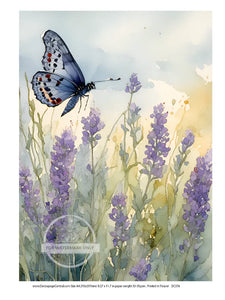 DC376 - Lavender Butterfly Rice Paper