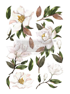 Magnolia Grandiflora Decor Transfers