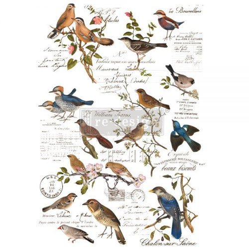 Postal Birds Transfer