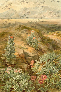 JRV Desert Succulent Decoupage Paper
